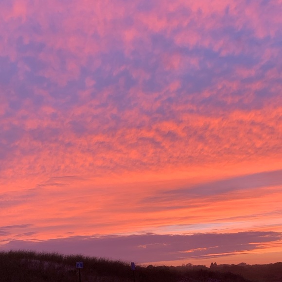 Meet your Posher, Jaedyn - Picture 1 of 1